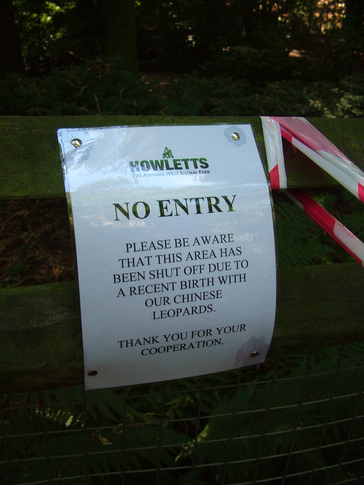 Leopard Birth Sign at Howletts, 31/07/10