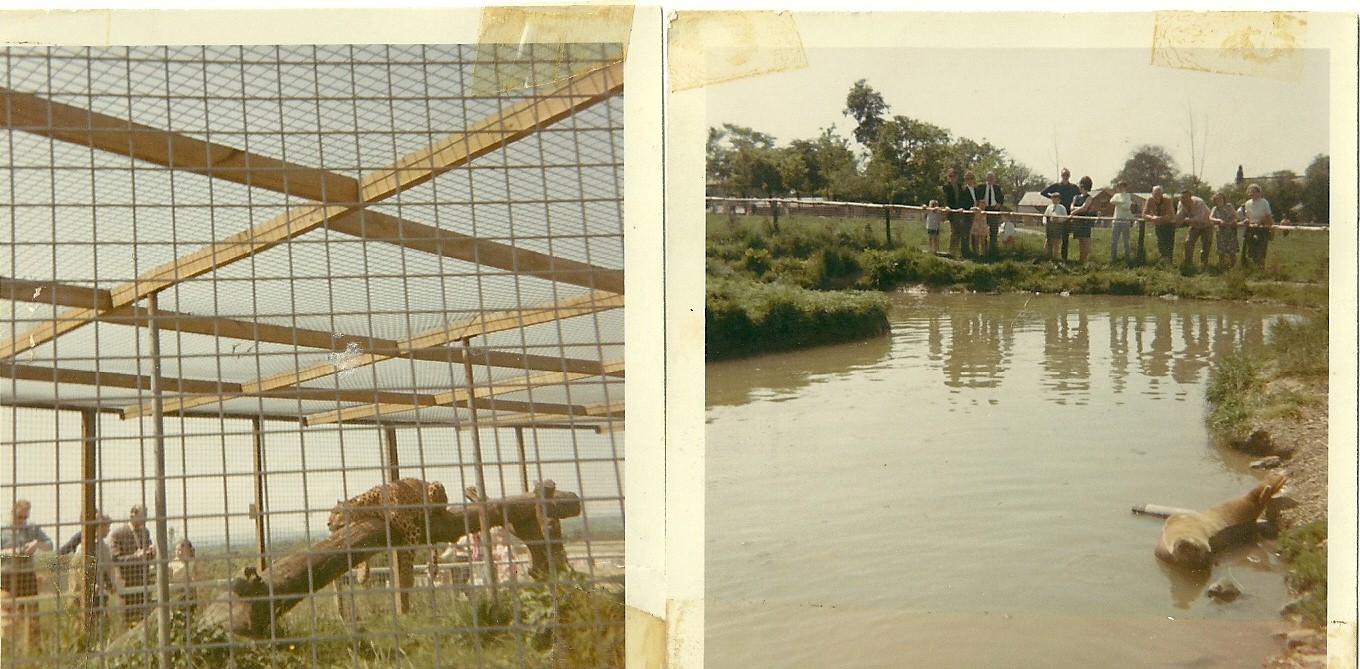Leopard Cage and Seal Pond 1970
