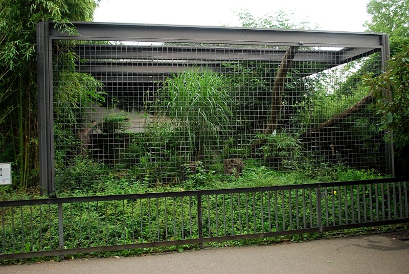 Leopard cage at Stuttgart