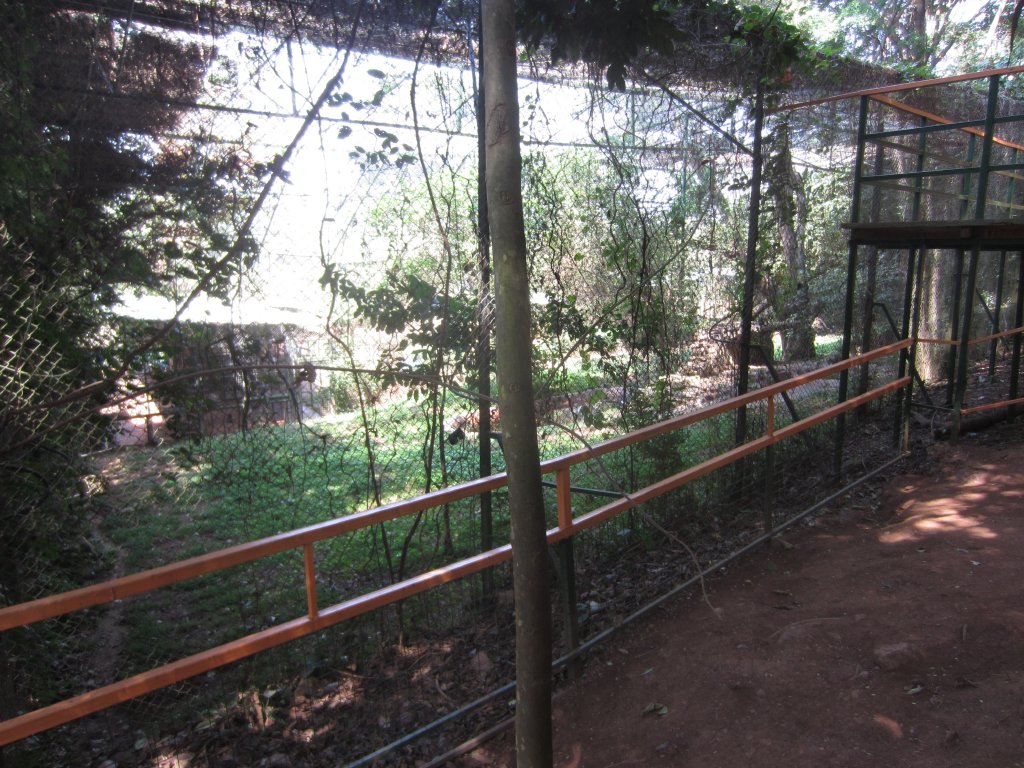 Leopard Cage