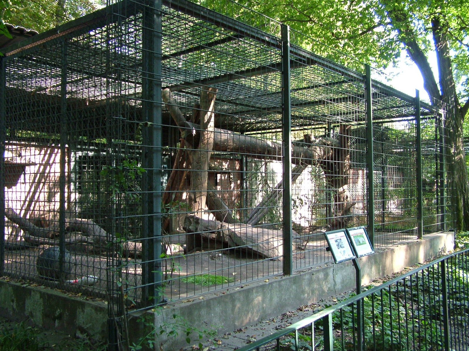 Leopard Cages at Leipzig, 02/09/11