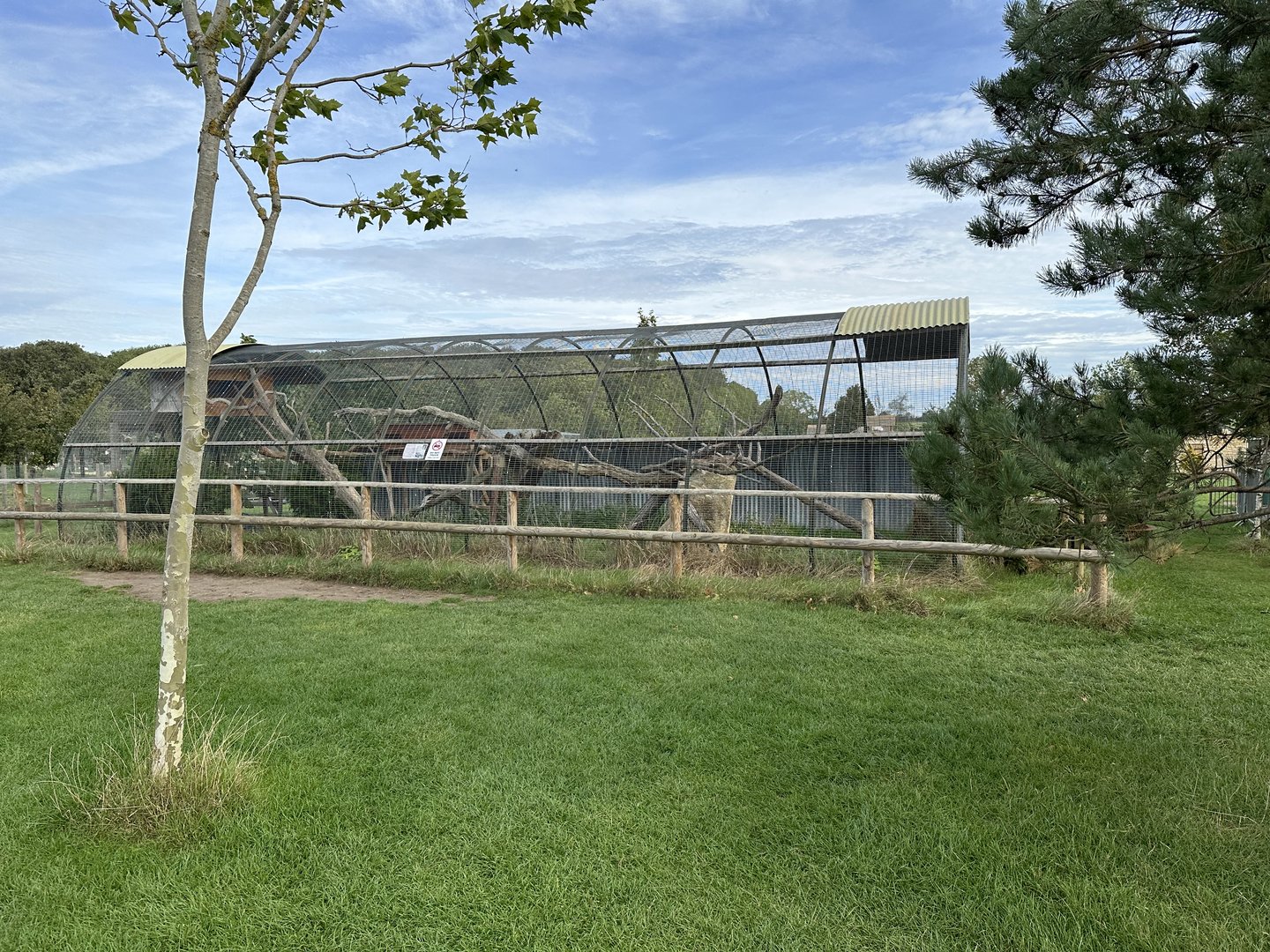 Leopard Cat Enclosure at Johnsons of Old Hurst (October 2023)