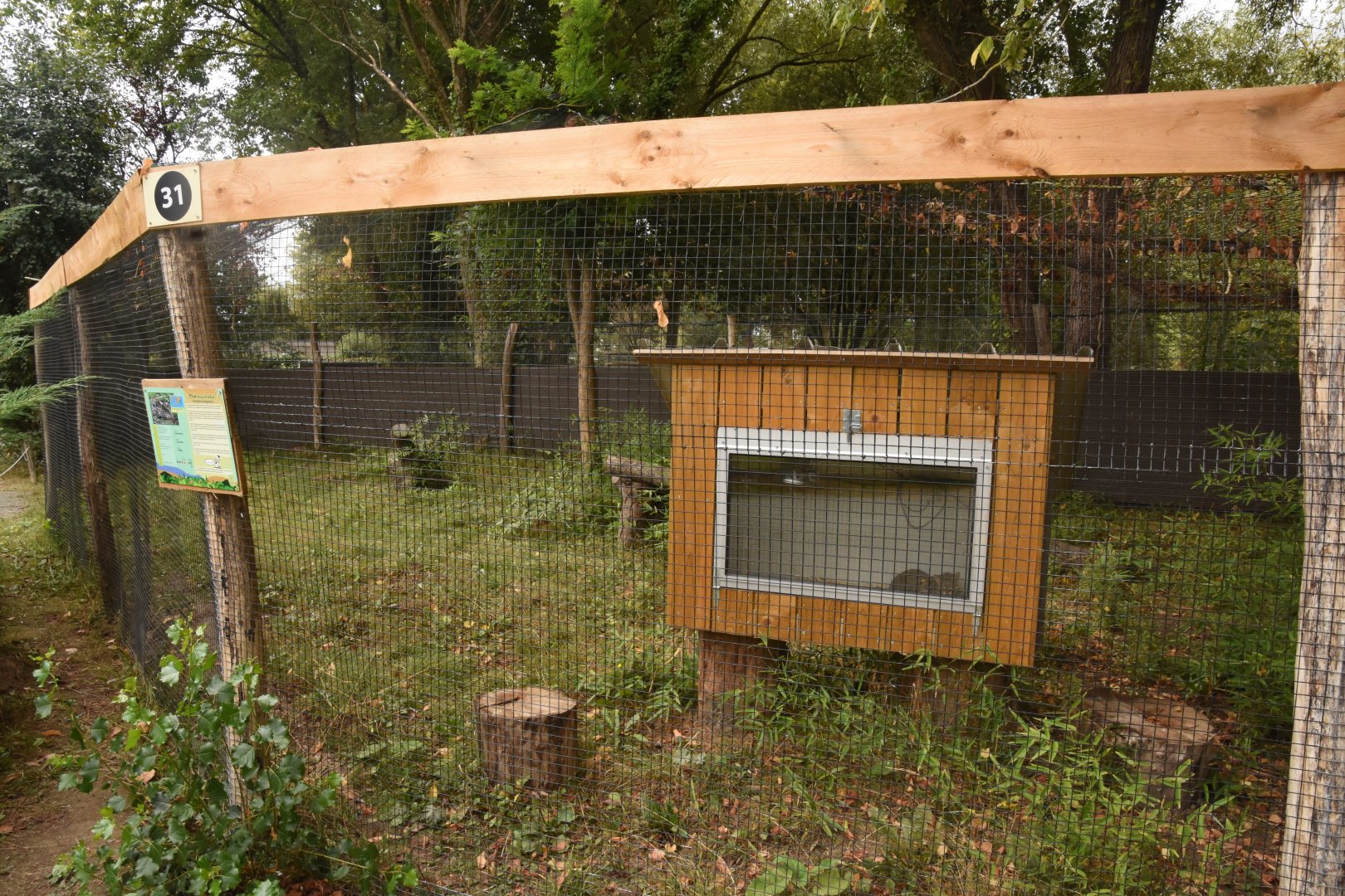 Leopard cat enclosure