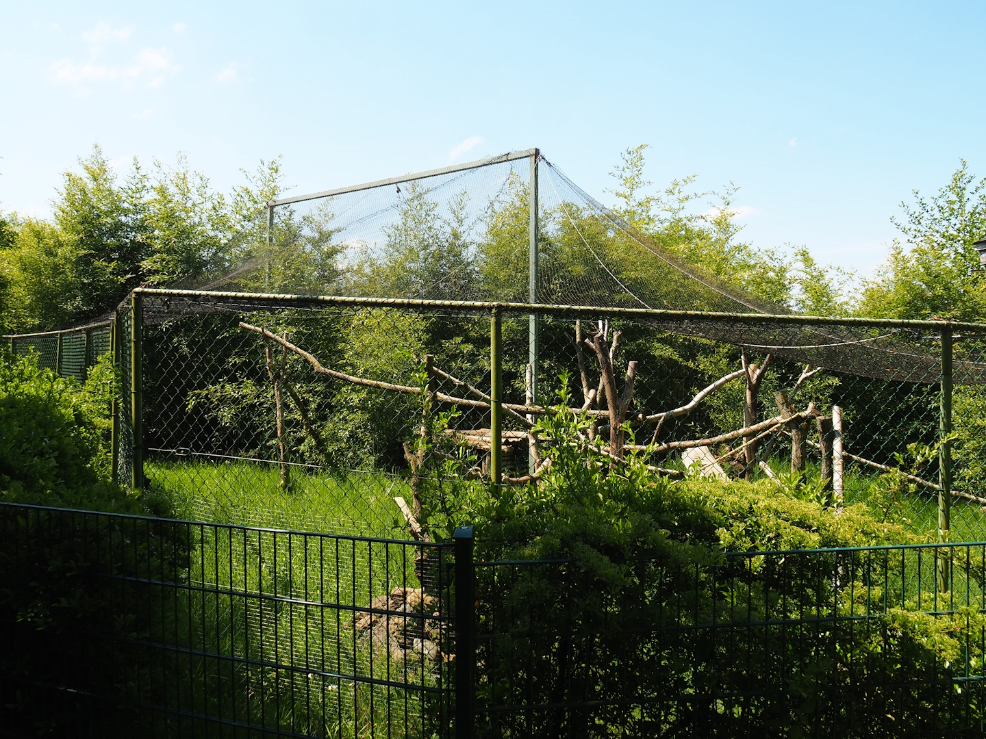 Leopard cat exhibit, 2023-05-19