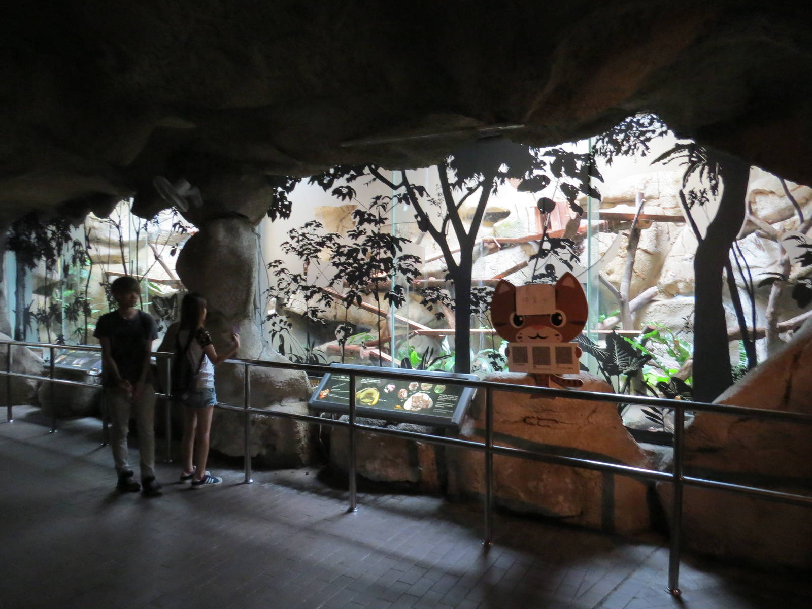 leopard Cat exhibition