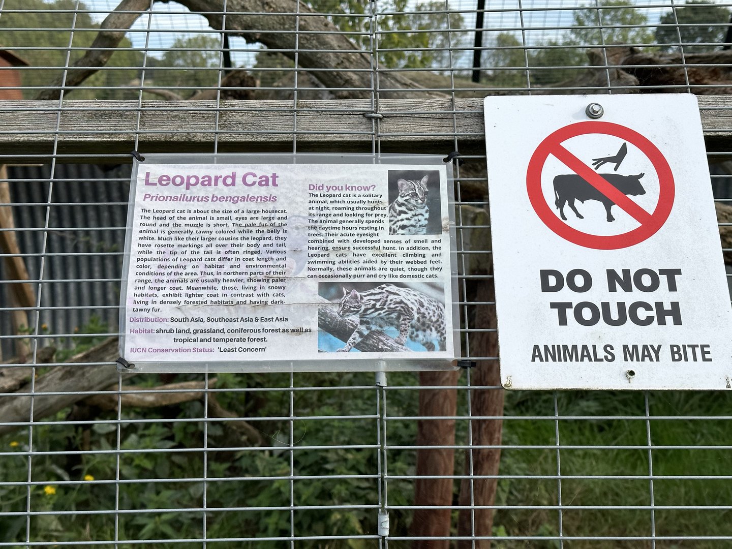 Leopard Cat Signage at Johnsons of Old Hurst (October 2023)