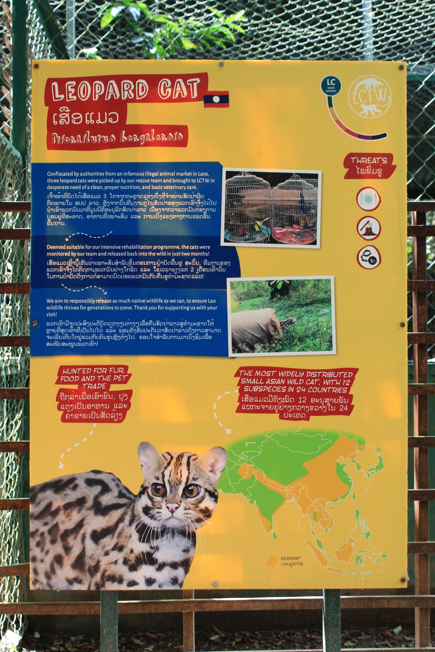Leopard Cat signage