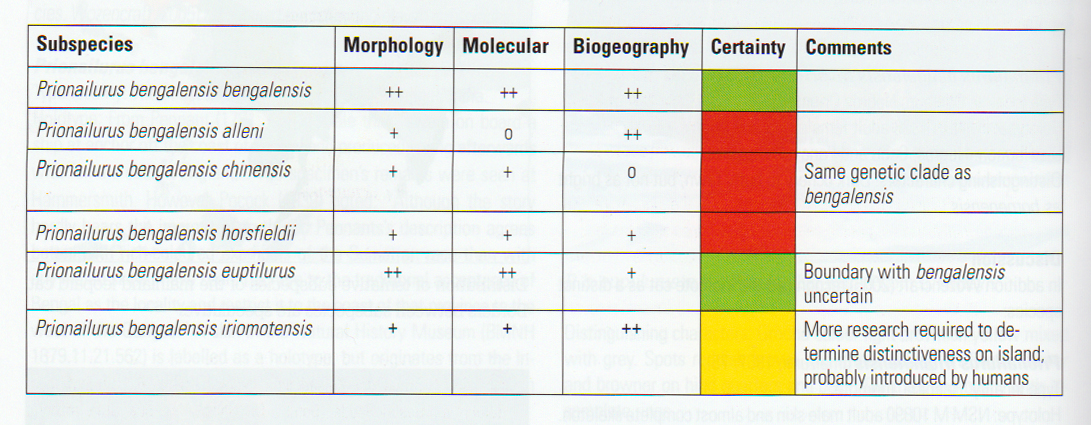 leopard cat taxonomy