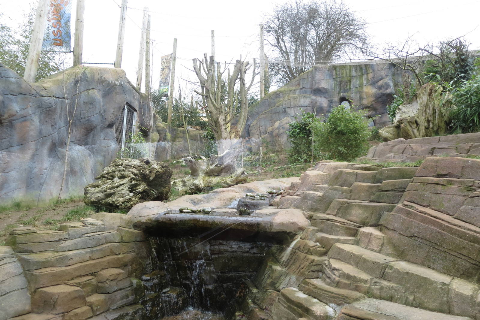 leopard enclosure 020313