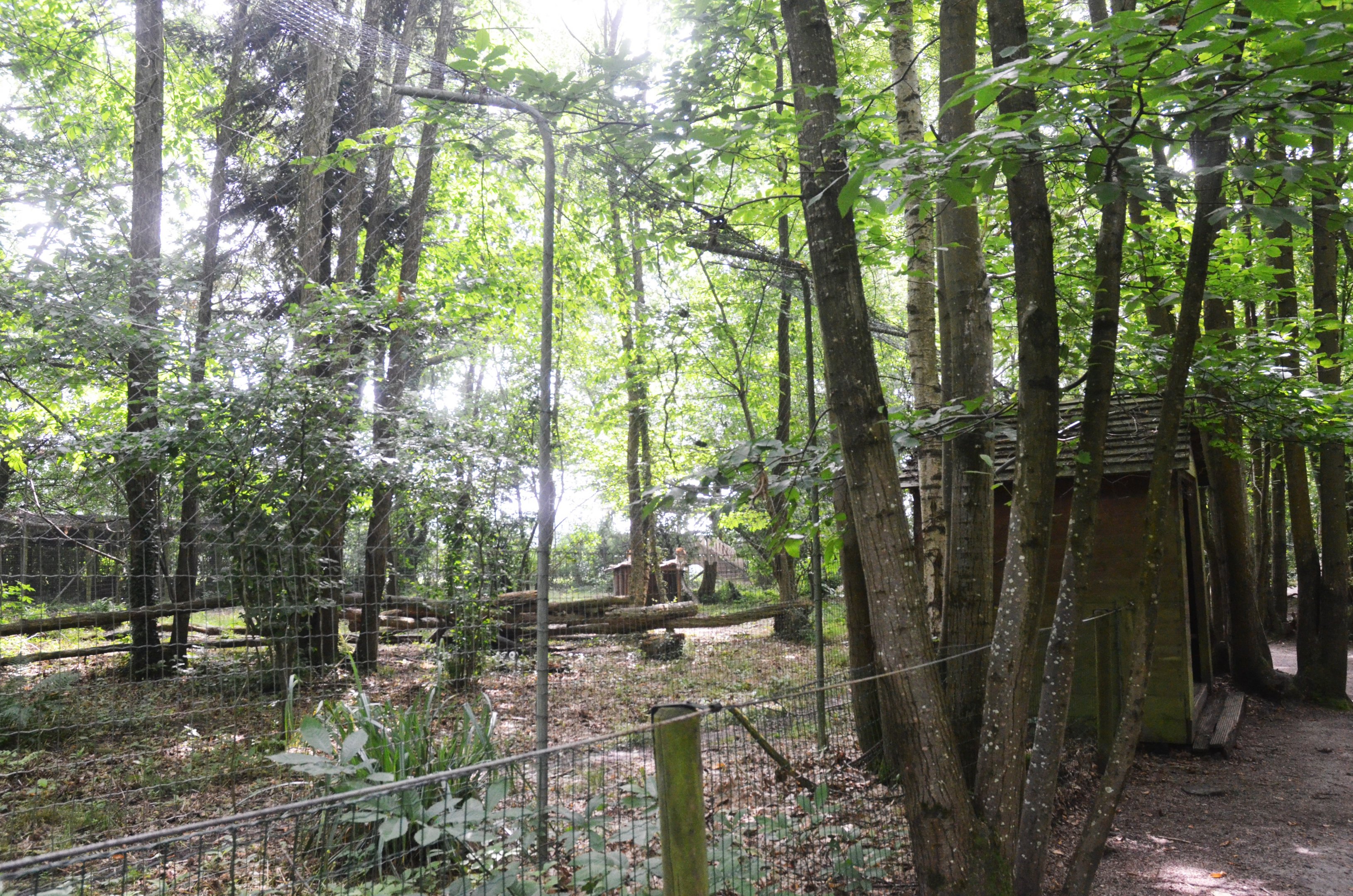 Leopard Enclosure at CERZA, 10/06/18