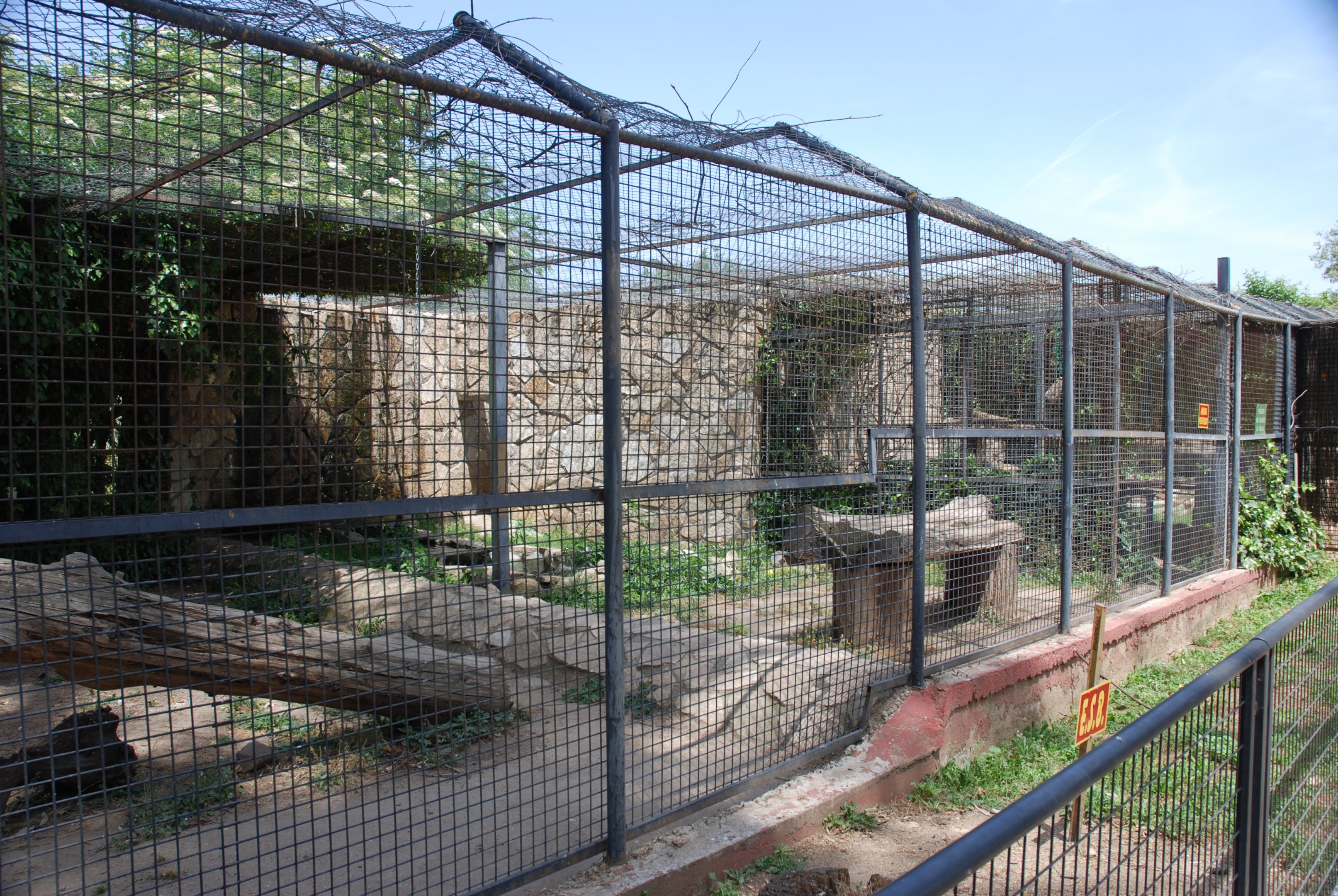 Leopard Enclosure at Safari Madrid, 19th May 2022