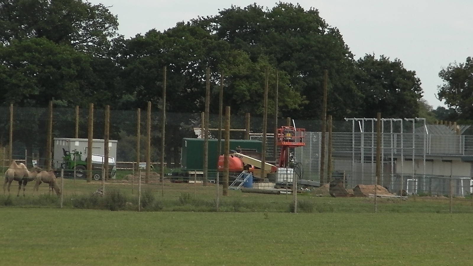 Leopard Enclosure Construction - 19.08.2011