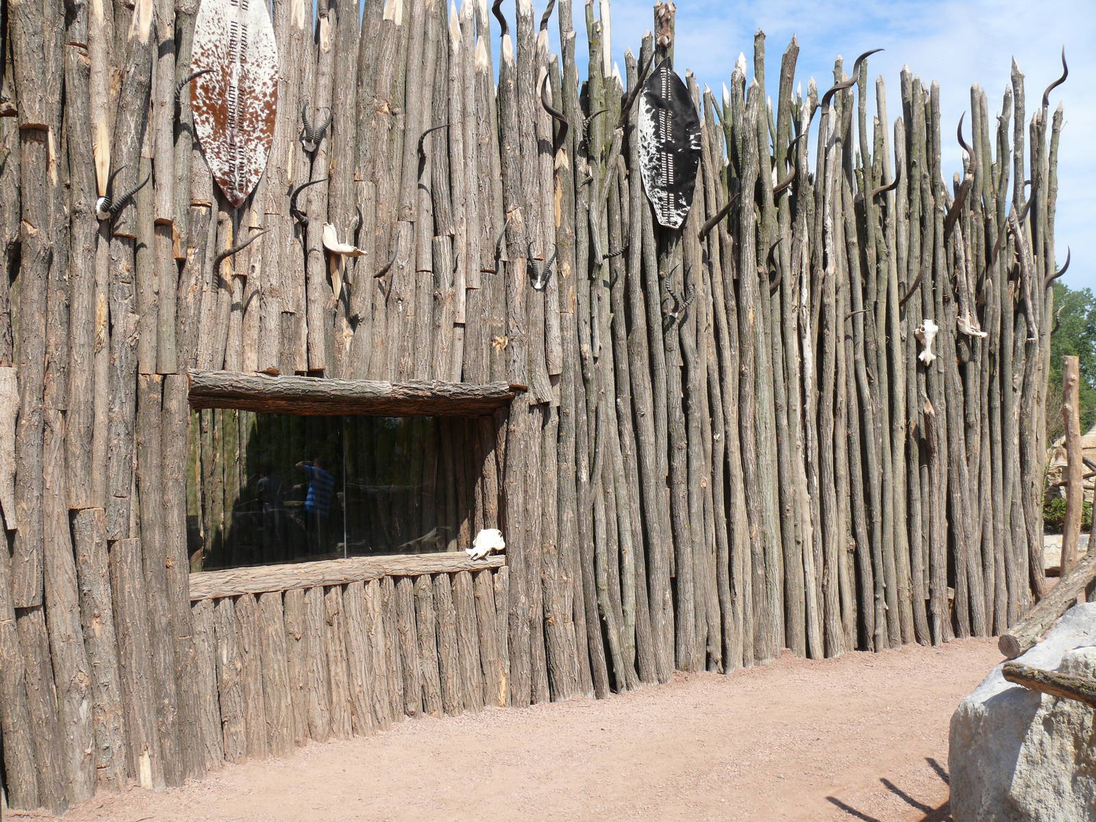 Leopard enclosure, July 2012