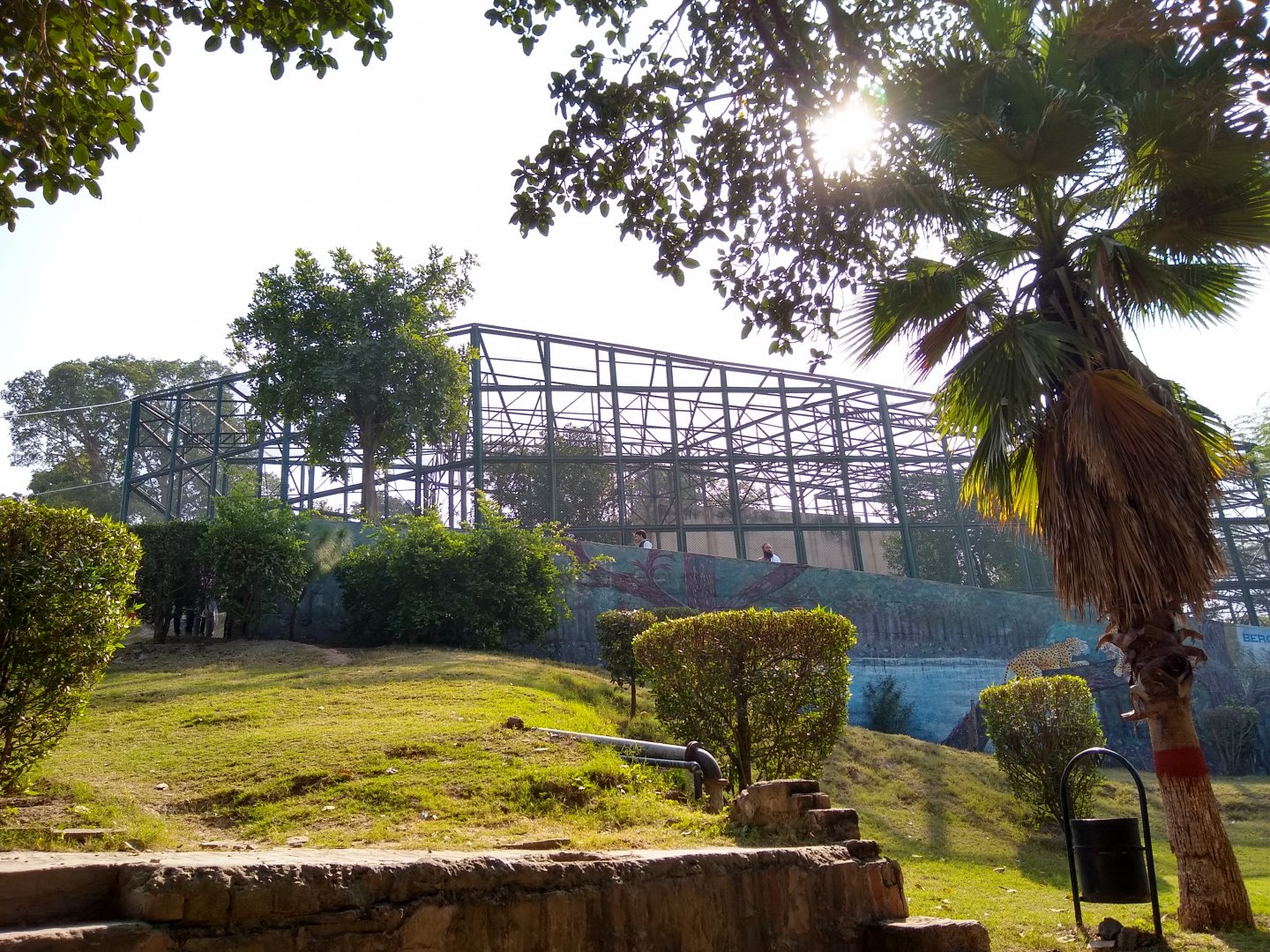 Leopard enclosure - Lahore zoo 17/11/2019
