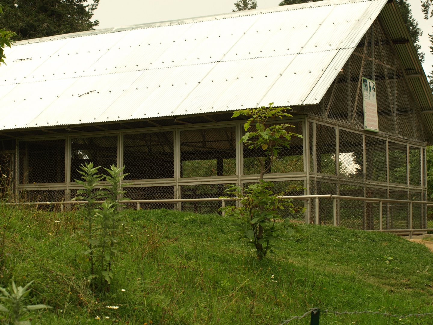 Leopard enclosure - Lalazar Wildlife Park 2017
