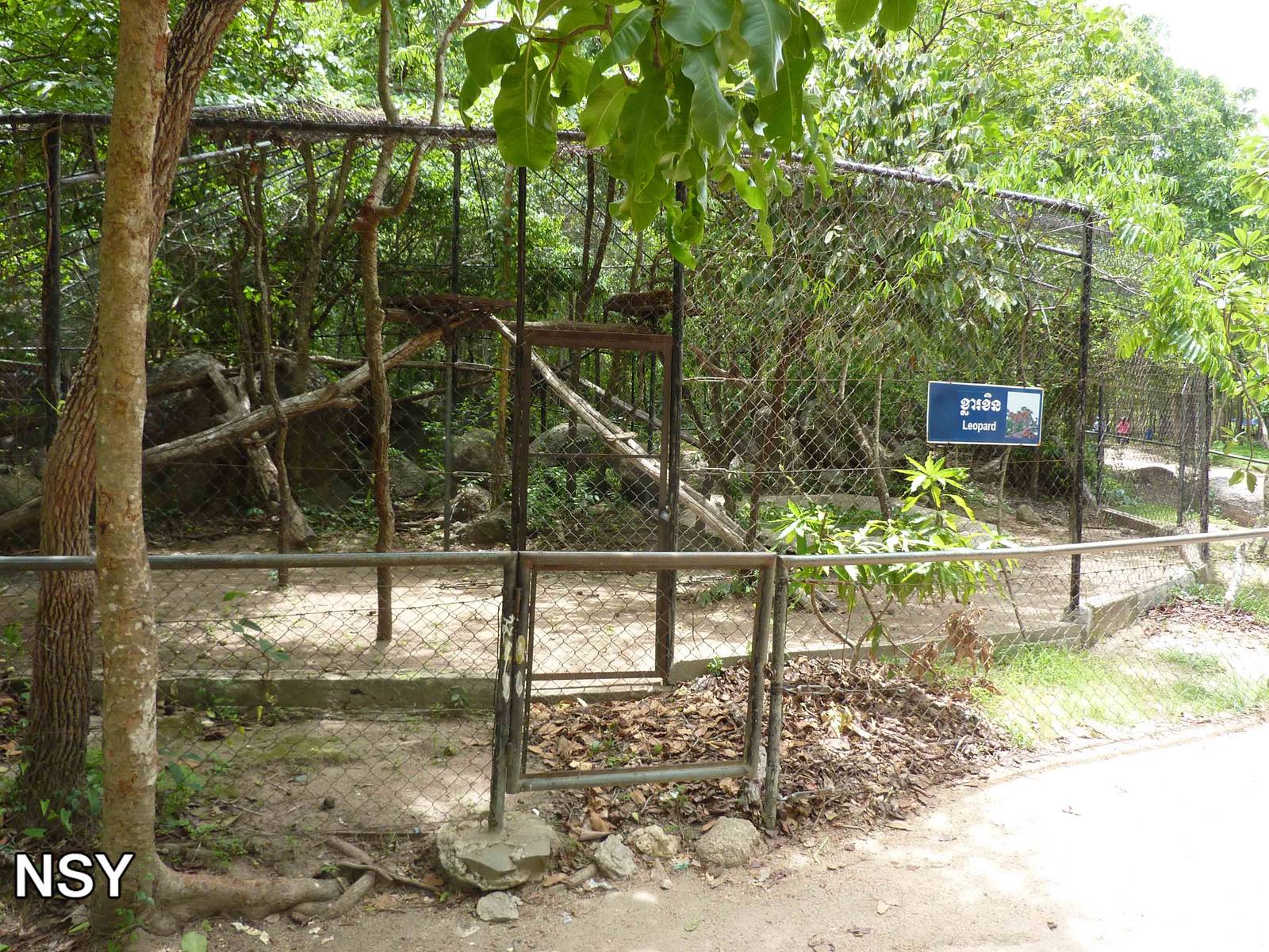 Leopard enclosure, May 2013.