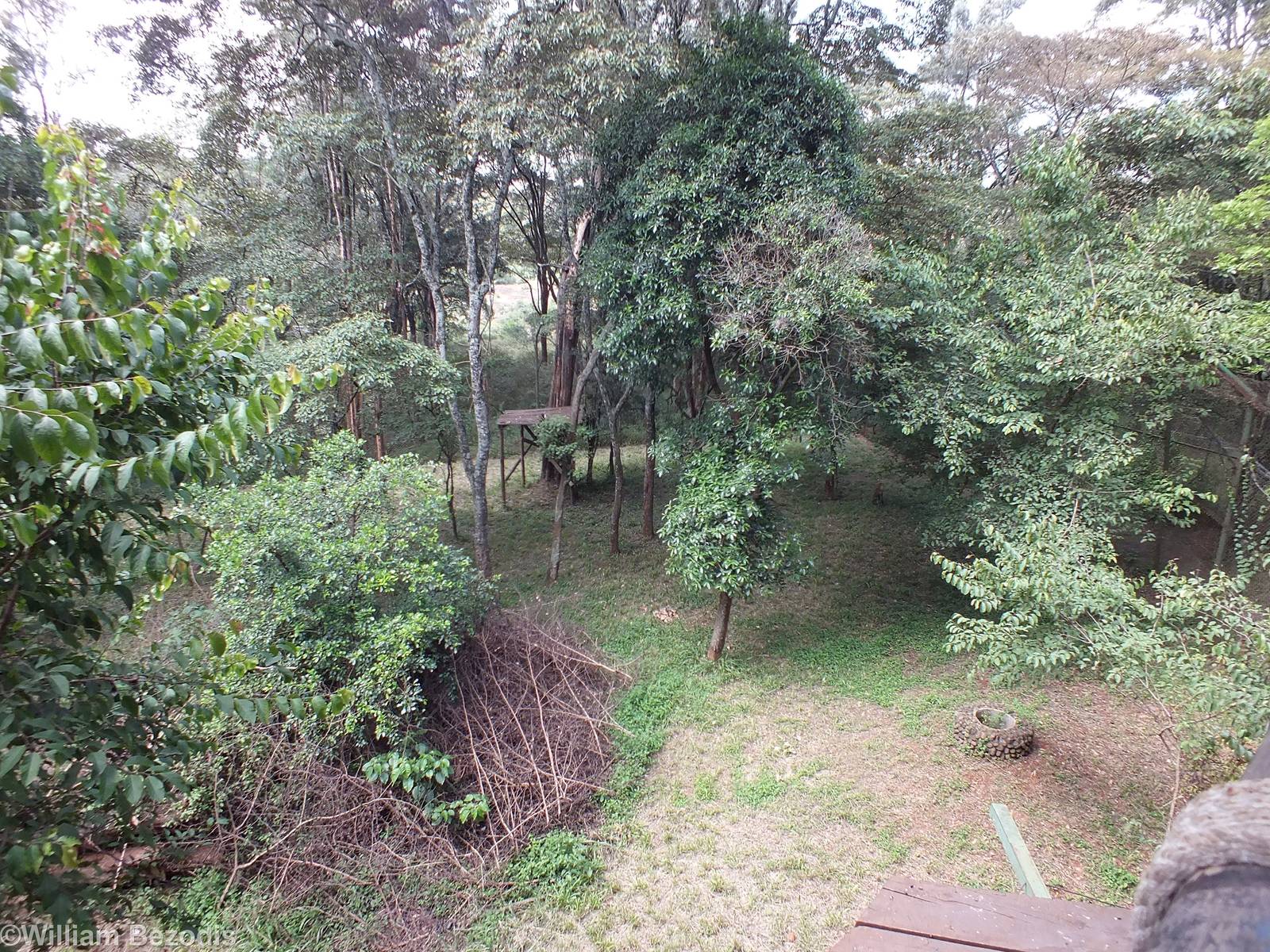 Leopard Enclosure - Nairobi Safari Walk