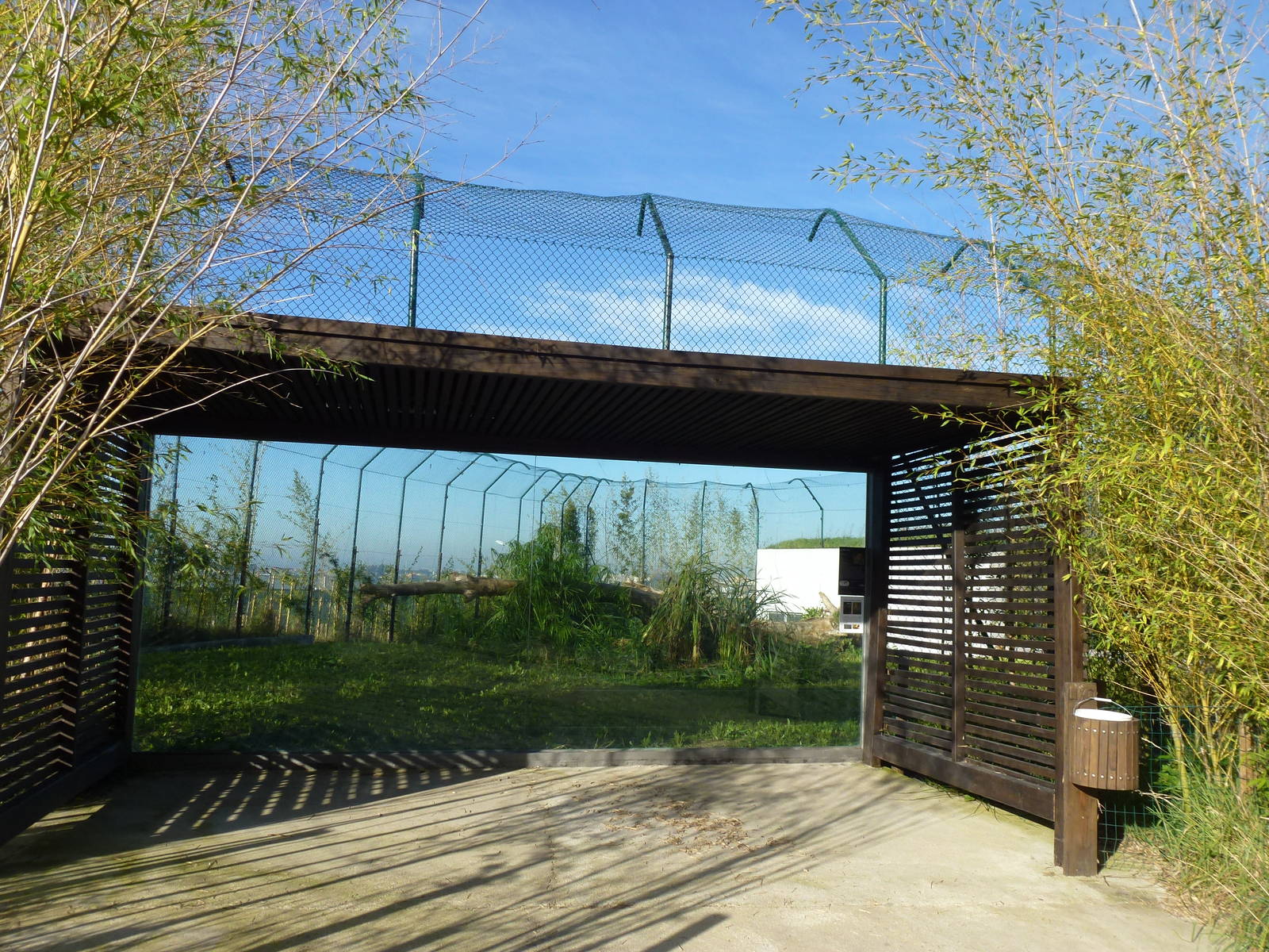 Leopard enclosure, November 2013.