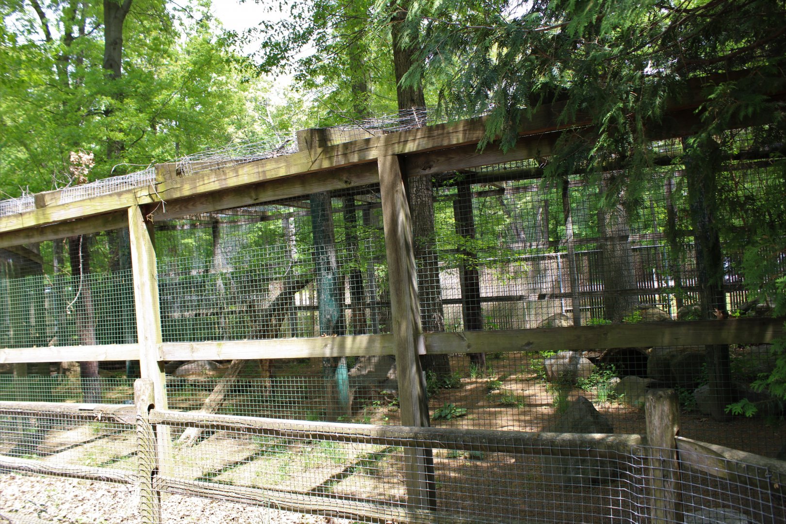 Leopard Enclosure Part 2