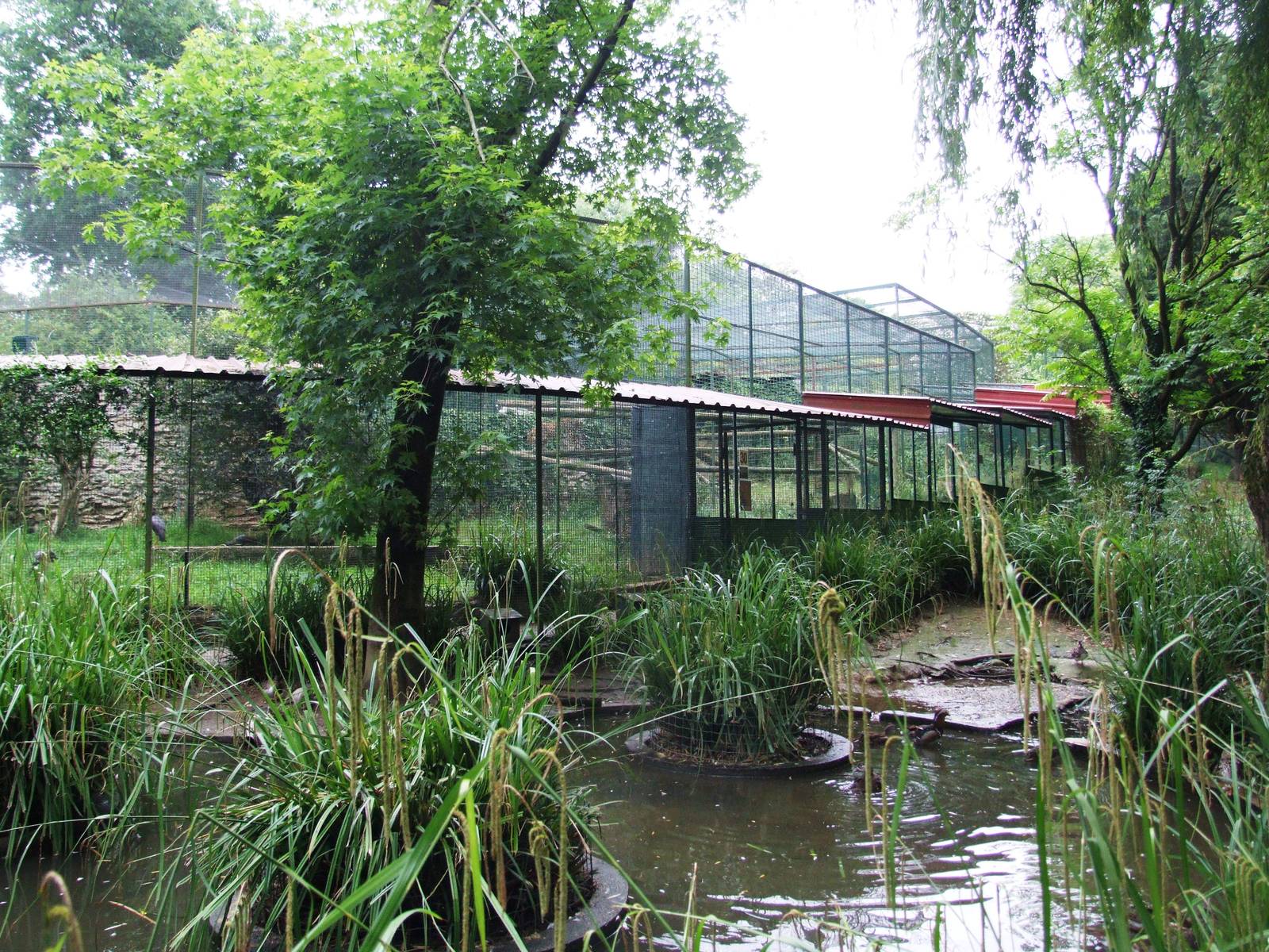 Leopard Enclosure Viewing Area at Santillana del Mar, 13/06/15