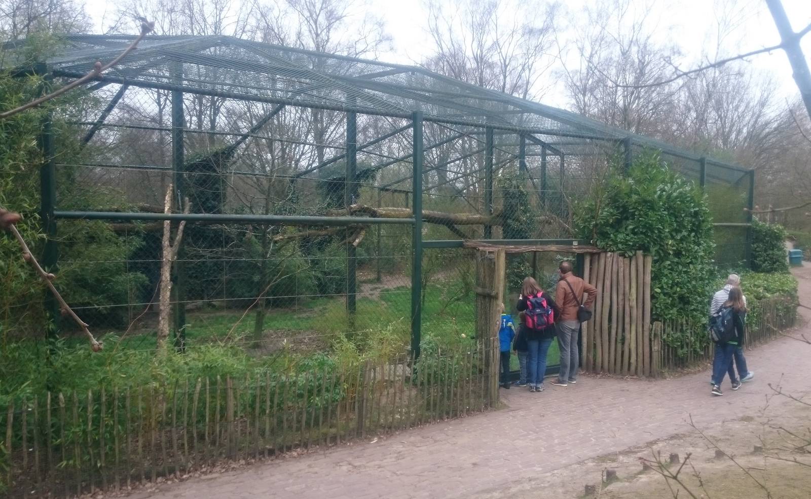 Leopard enclosure