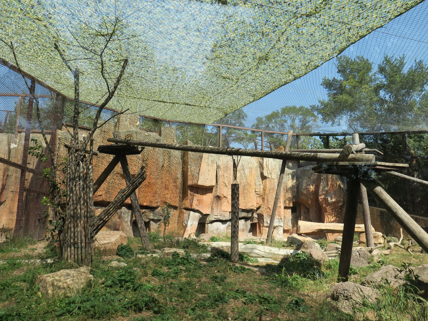 leopard enclosure