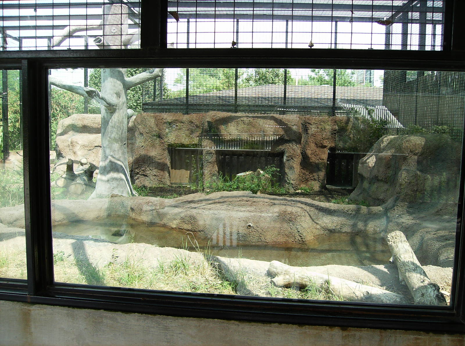 Leopard enclosure