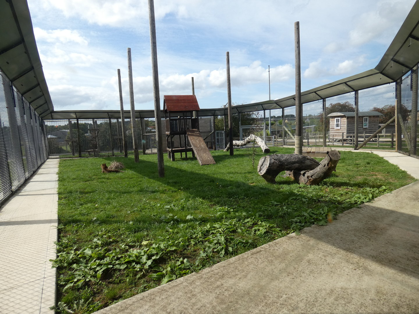 Leopard enclosure