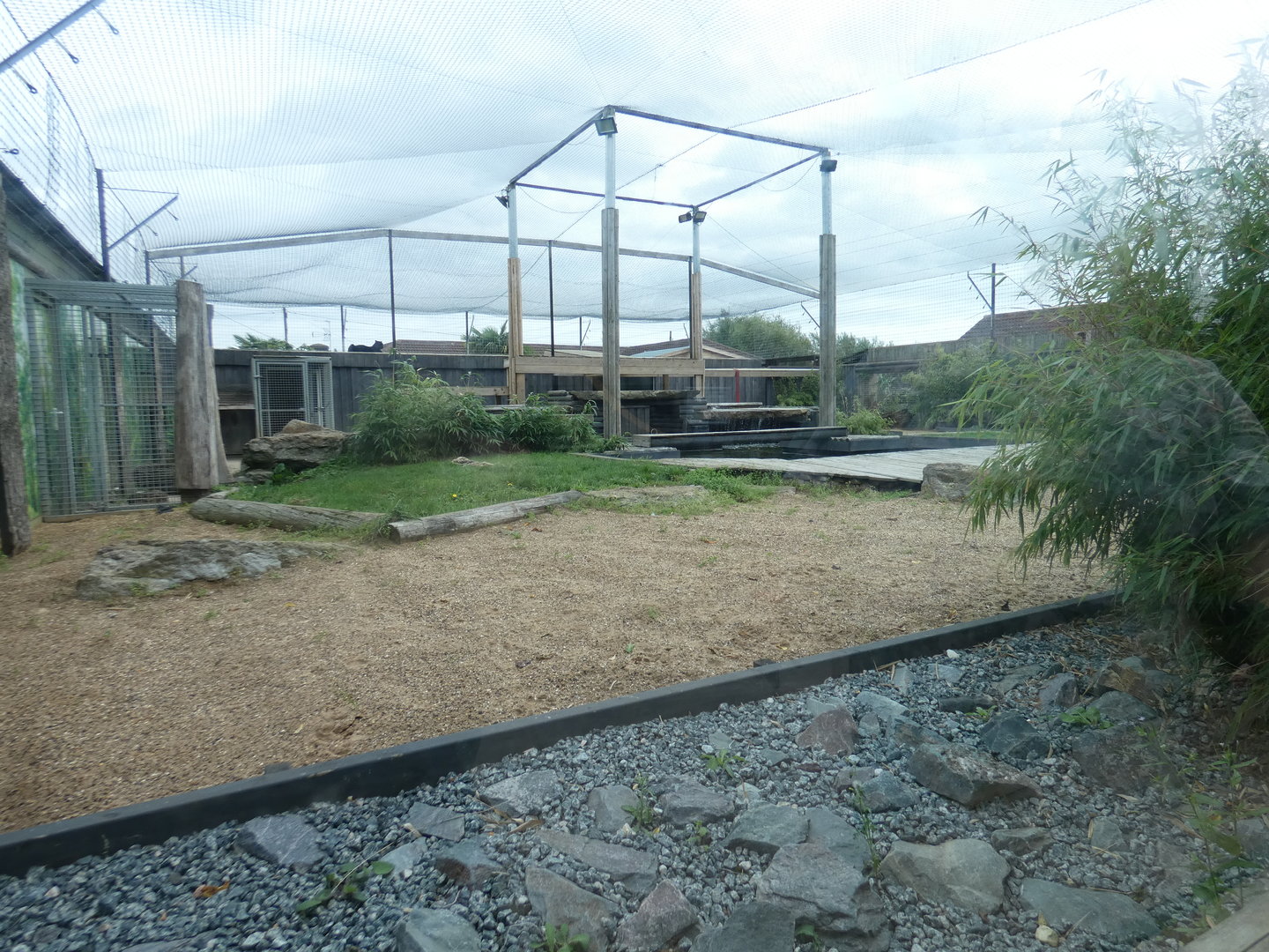 Leopard enclosure