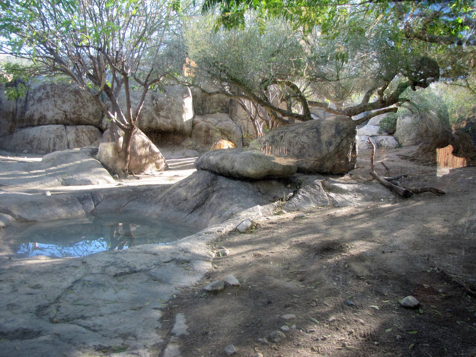 Leopard Enclosure