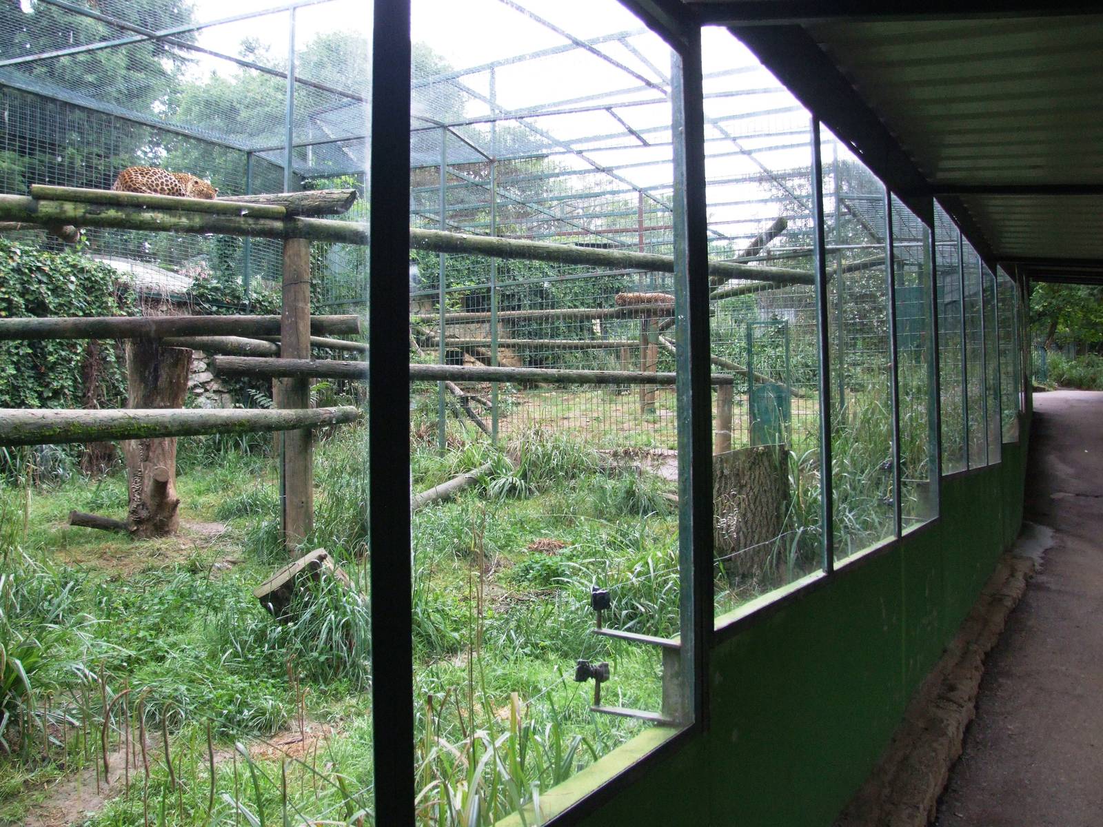Leopard Enclosures at Santillana del Mar, 13/06/15