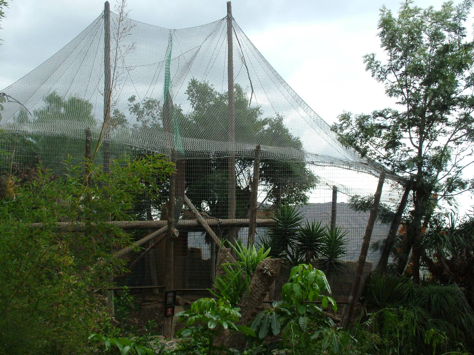 Leopard Exhibit at Jungle Park (Las Aguilas), 13/11/10