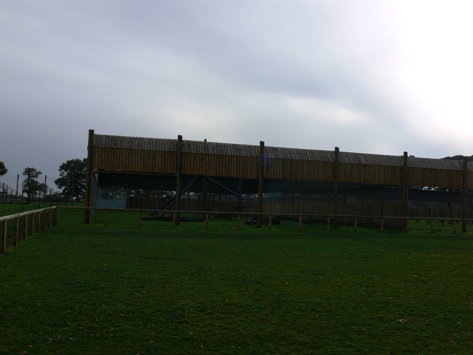 Leopard exhibit at Yorkshire WP 01/11/12