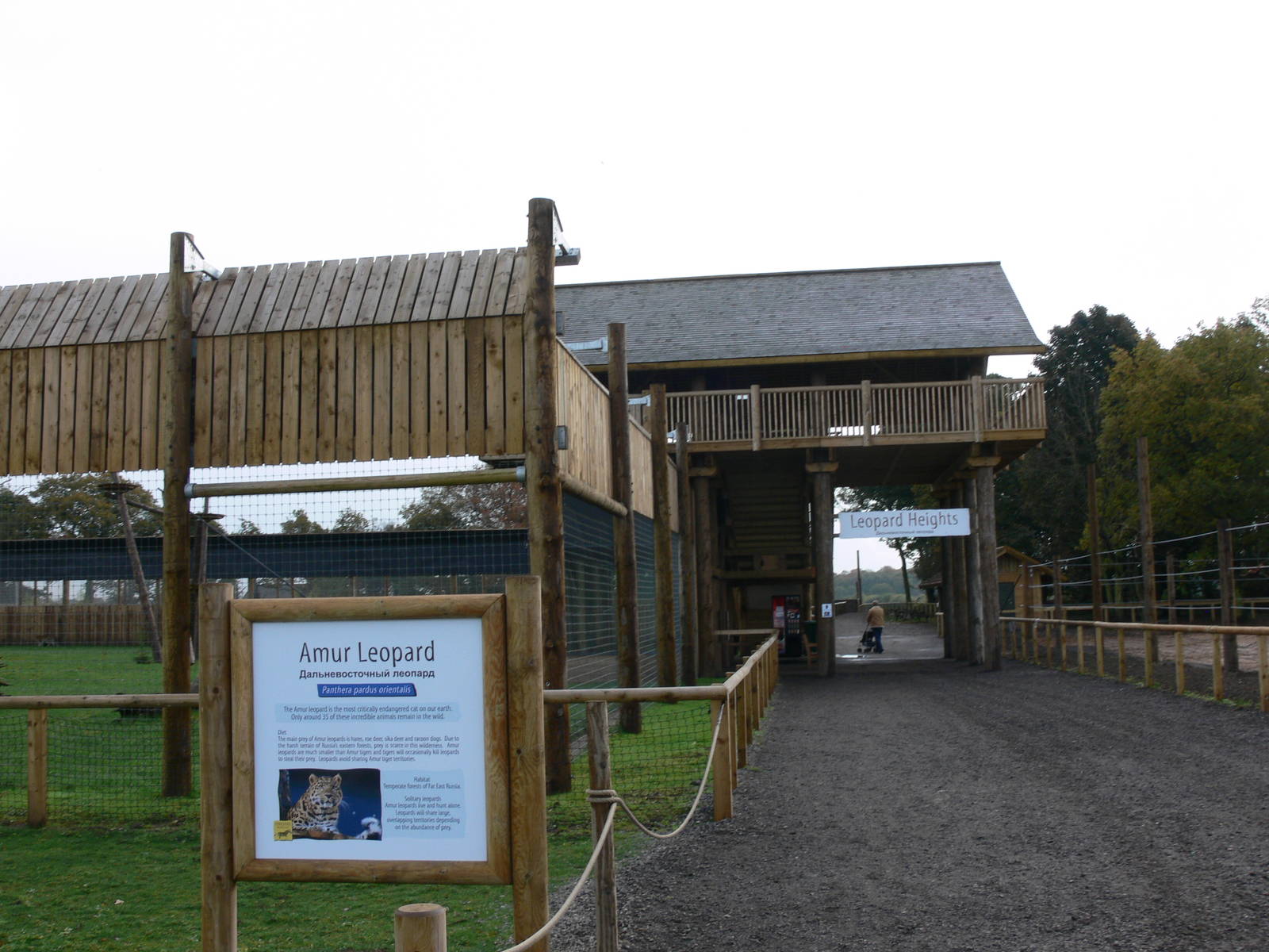 Leopard exhibit at Yorkshire WP 01/11/12