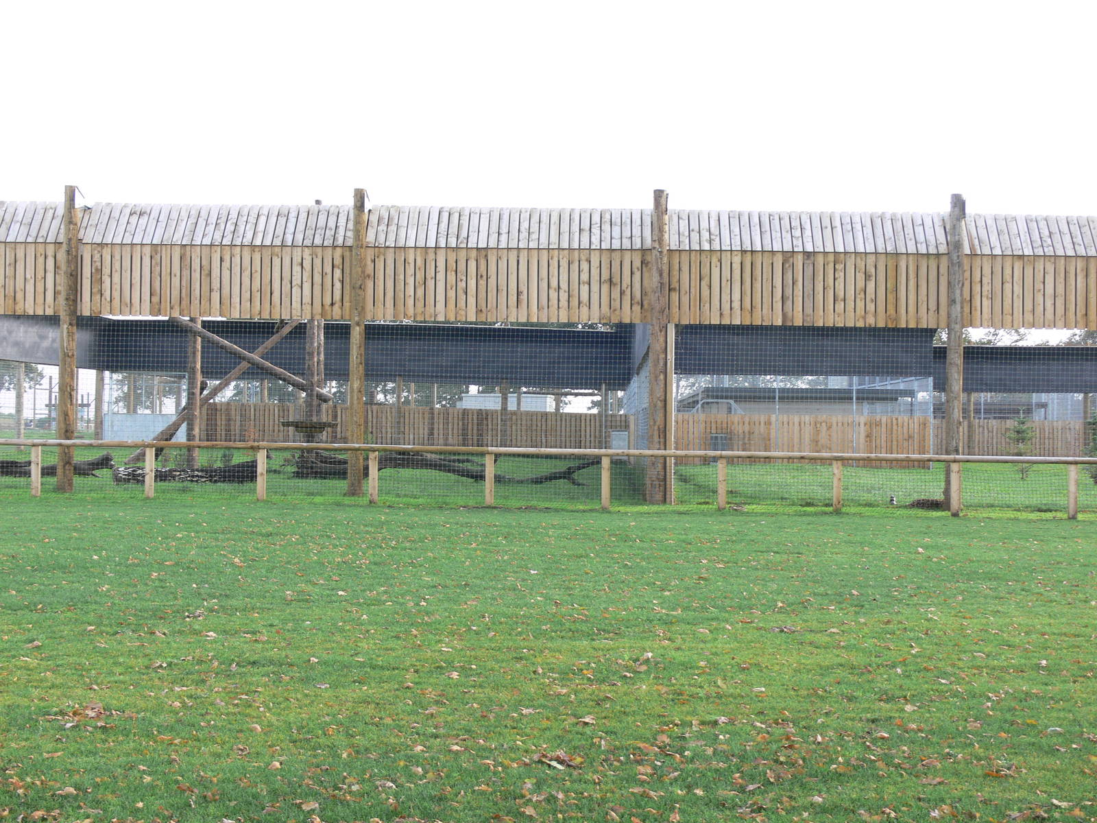 Leopard exhibit at Yorkshire WP 01/11/12