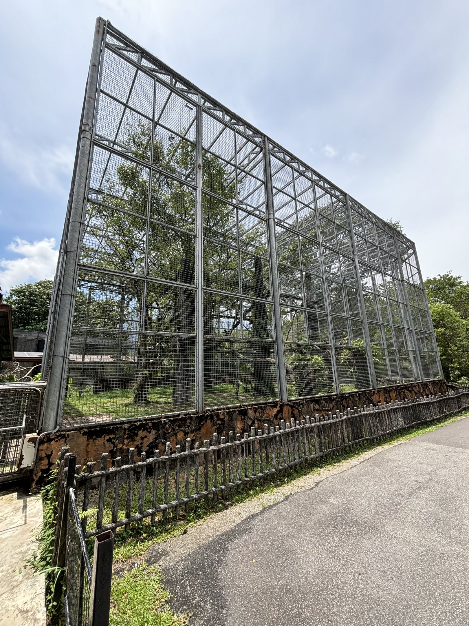 Leopard Exhibit - enormous!