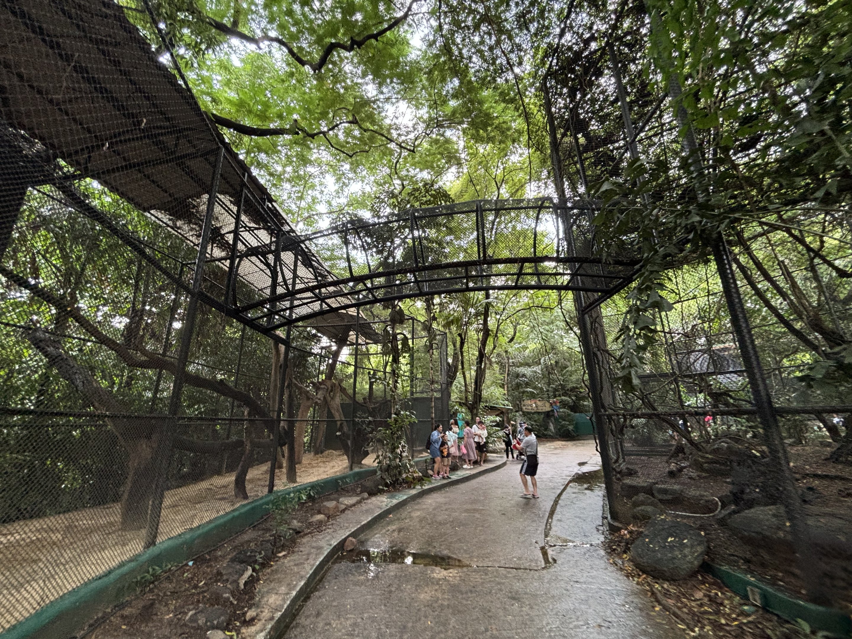 Leopard Exhibit - high!