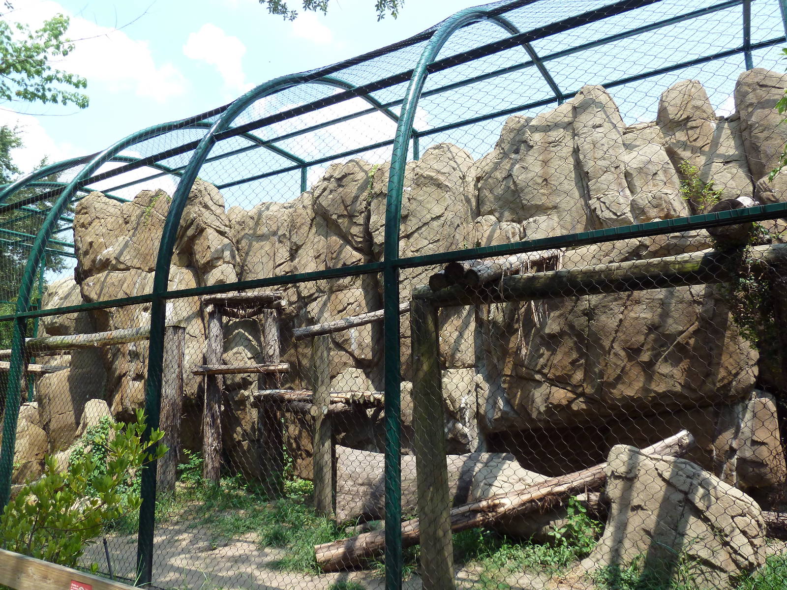Leopard Exhibit
