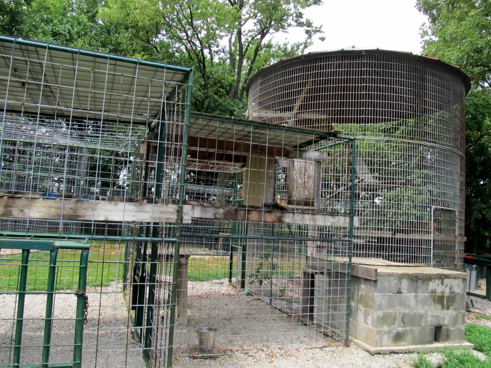 Leopard Exhibit
