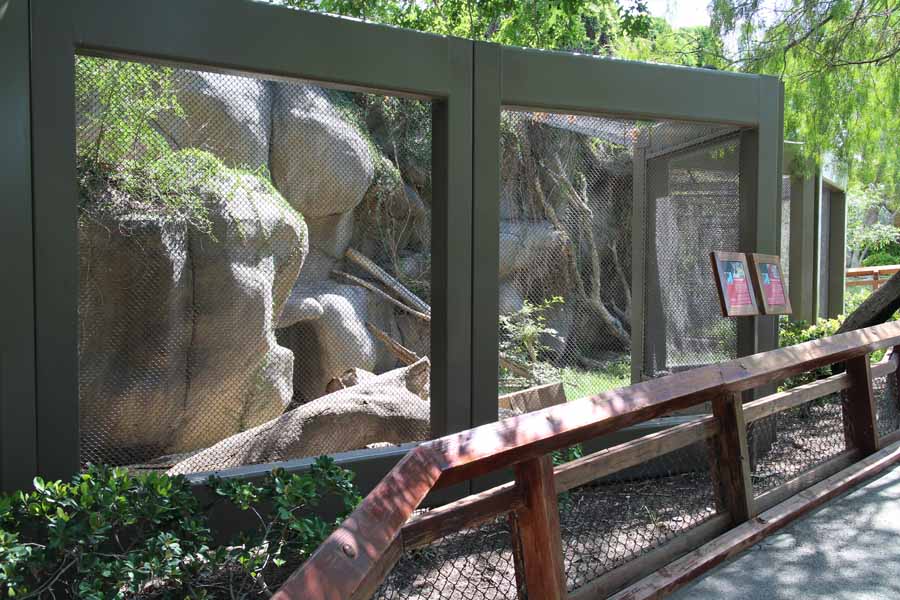 leopard exhibit