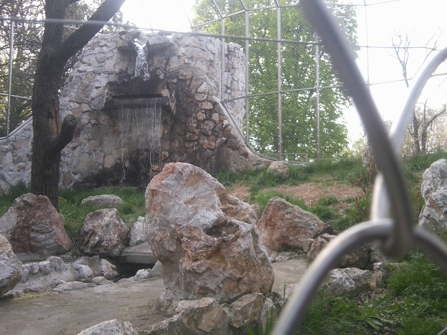 Leopard exhibit