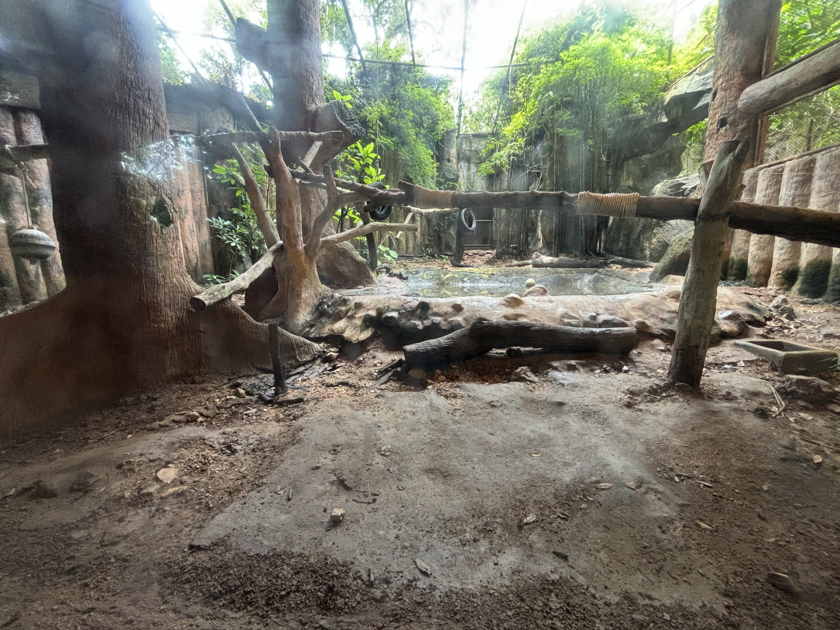 Leopard Exhibit