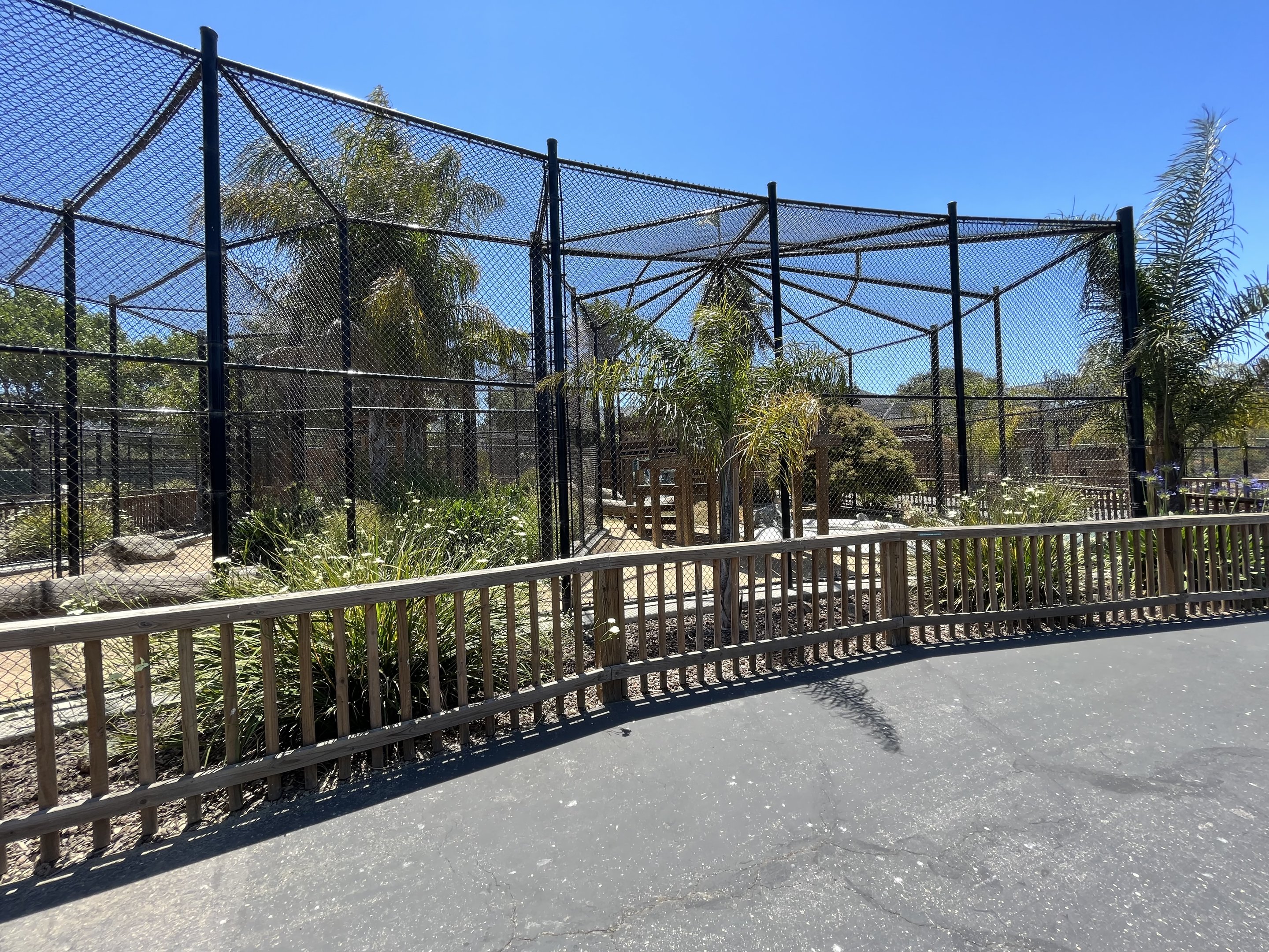 Leopard Exhibits - New