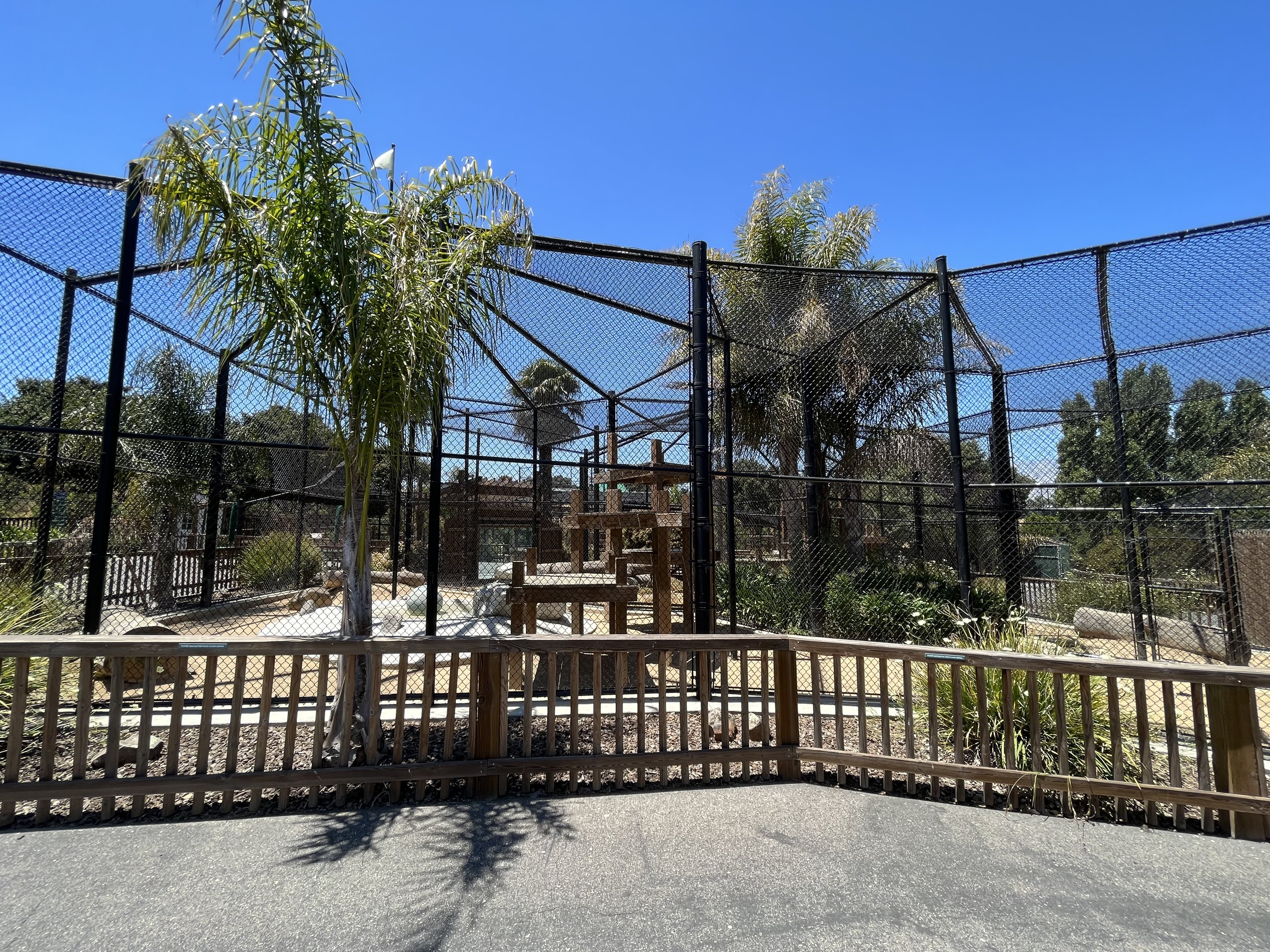 Leopard Exhibits - New