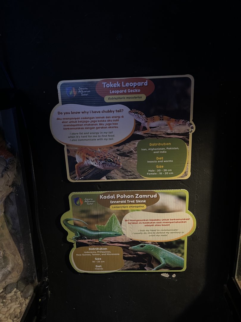 leopard gecko & emerald tree skink signage