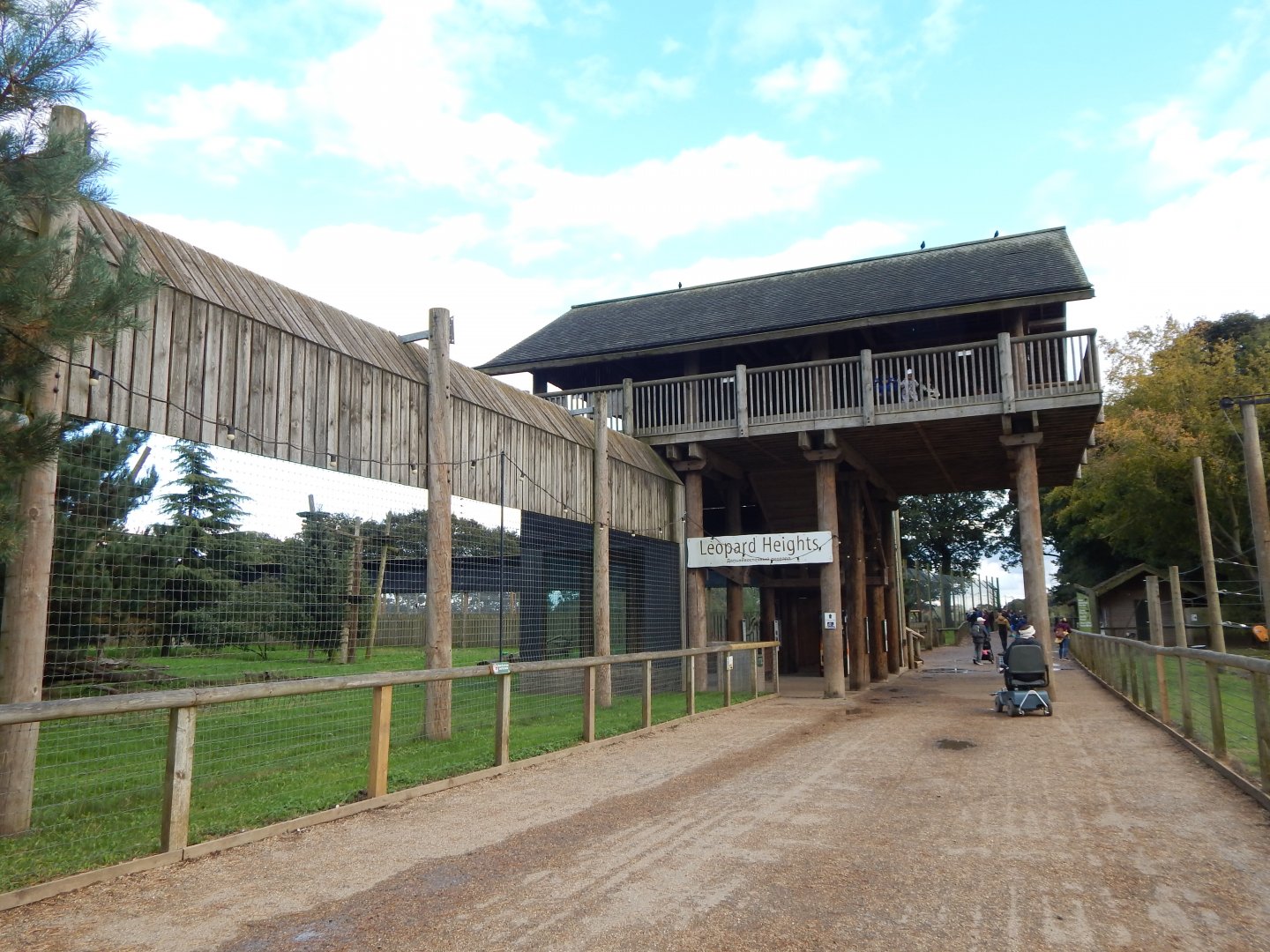 Leopard Heights - Amur leopard habitat 121024