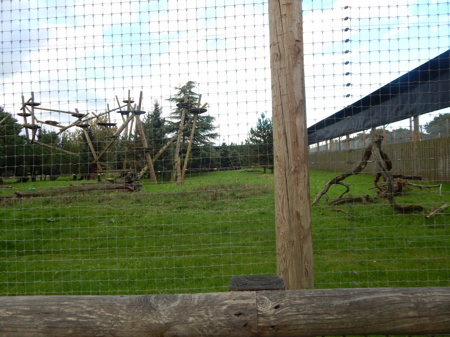 Leopard Heights - Amur leopard habitat 121024