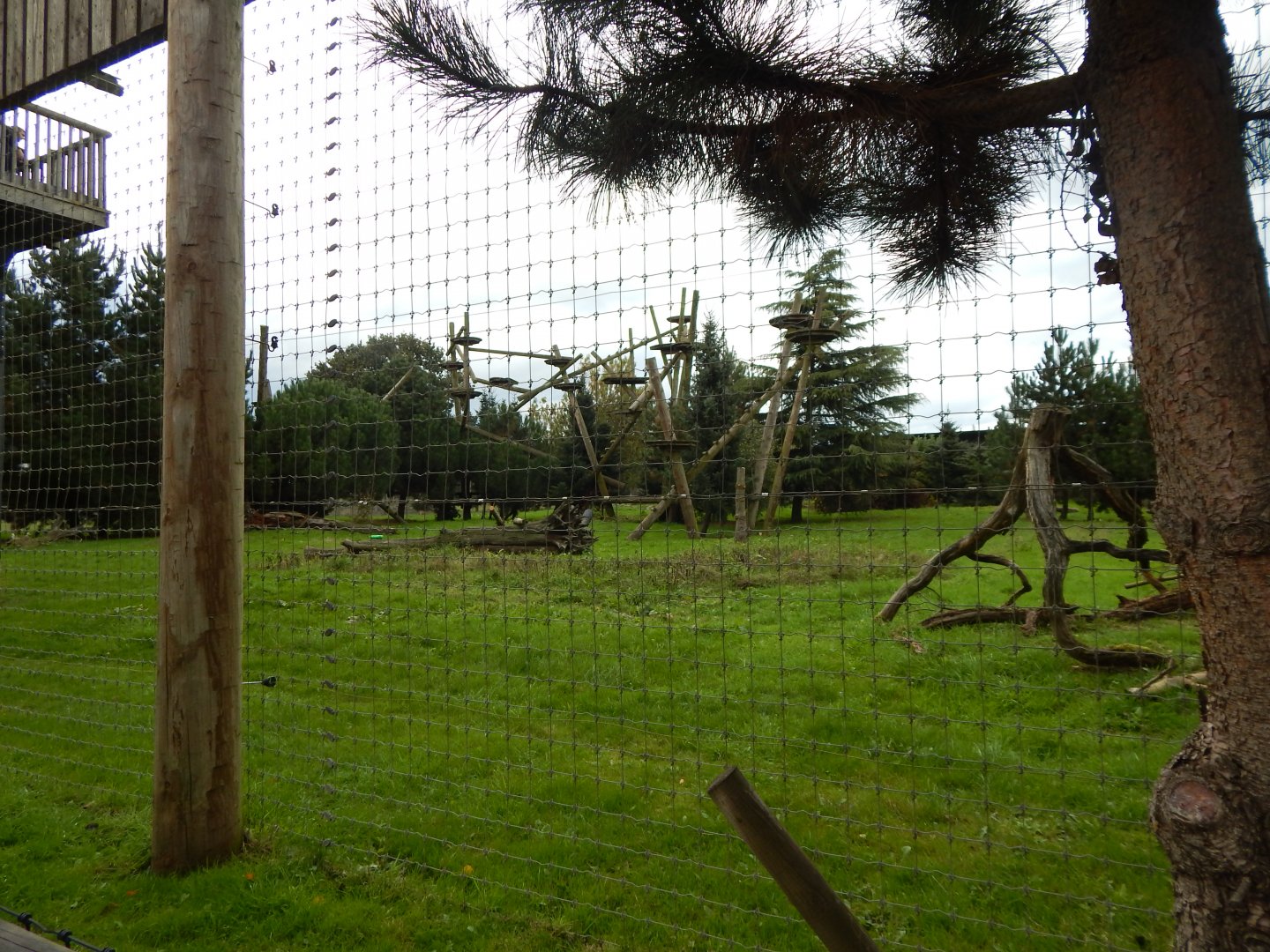 Leopard Heights - Amur leopard habitat 121024