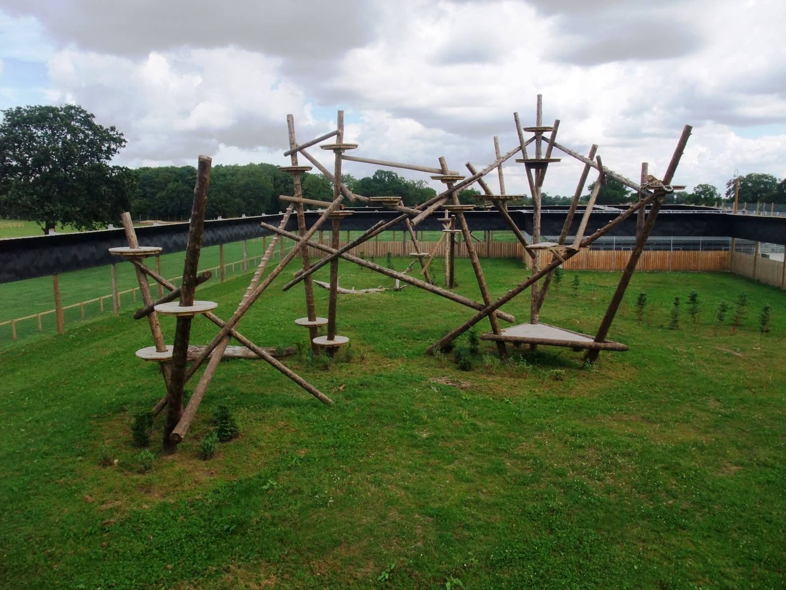 Leopard Heights at Yorkshire WP, 05/08/12