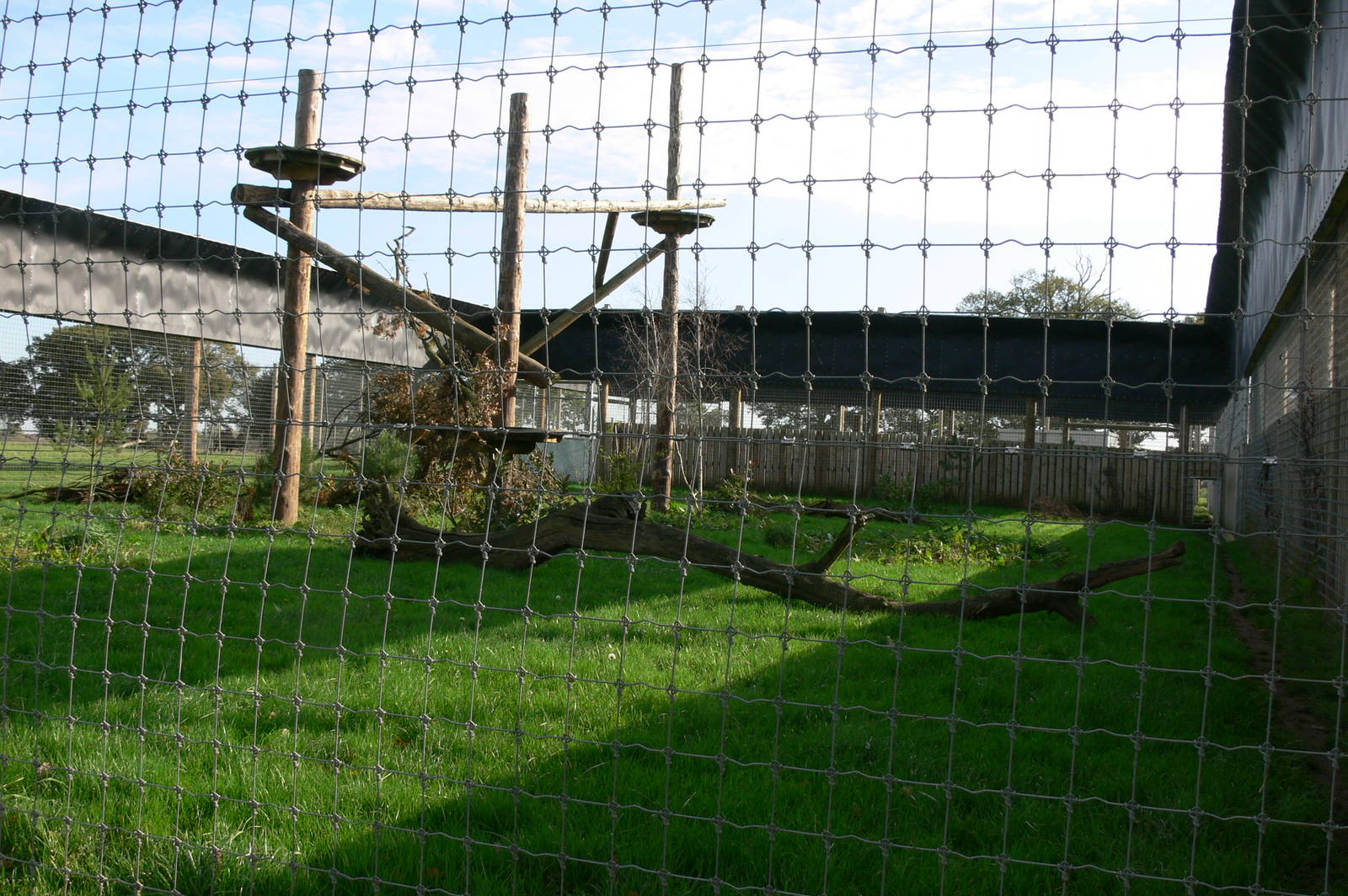 Leopard Heights at Yorkshire WP, 28/10/14